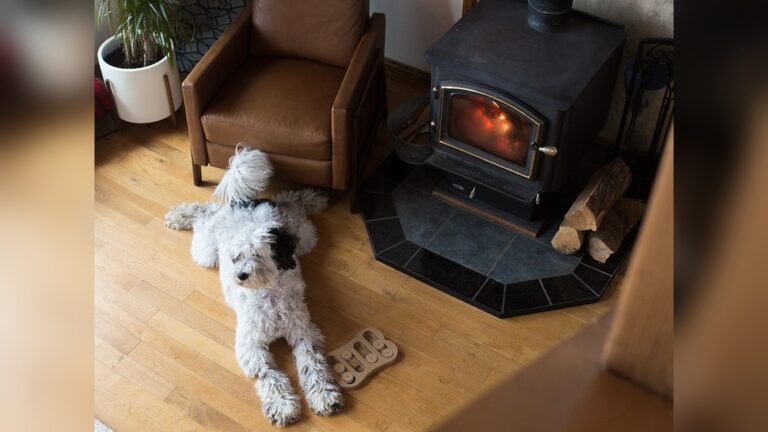 Maintenance Tips for Multi-Fuel Stove: Essential Care for Longevity