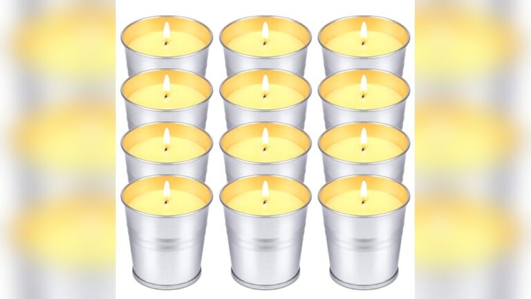 Best Indoor Mosquito Repellent Candles & Alternative for Protection