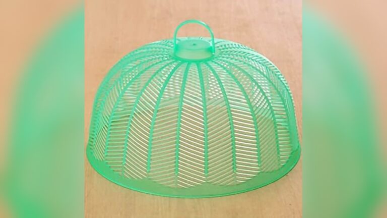 Top Food Screen Mesh Covers Reviewed