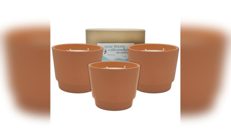 Top 3 Best Outdoor Insect Repellent Candles for Summer