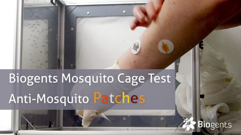 Do Mosquito Patches Really Work? Truth Revealed!