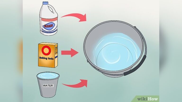 How to Clean a Hydration Bladder | Easy & Effective Way