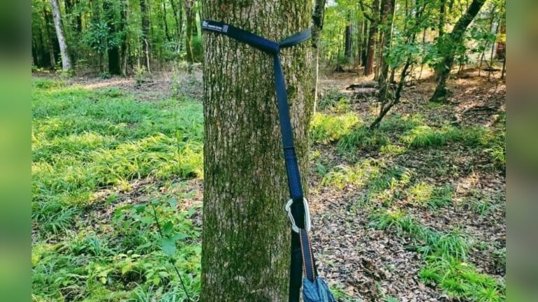 How to Hang a Hammock With Straps | Step-by-Step Guide
