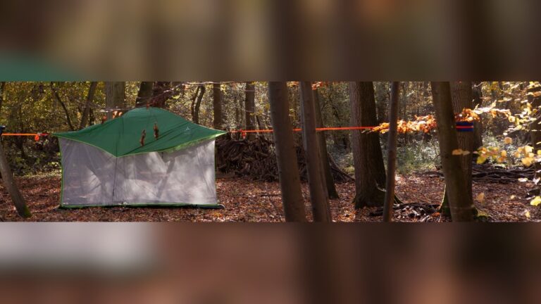 How to Keep Bugs Out of Tent When Camping – Expert Tips