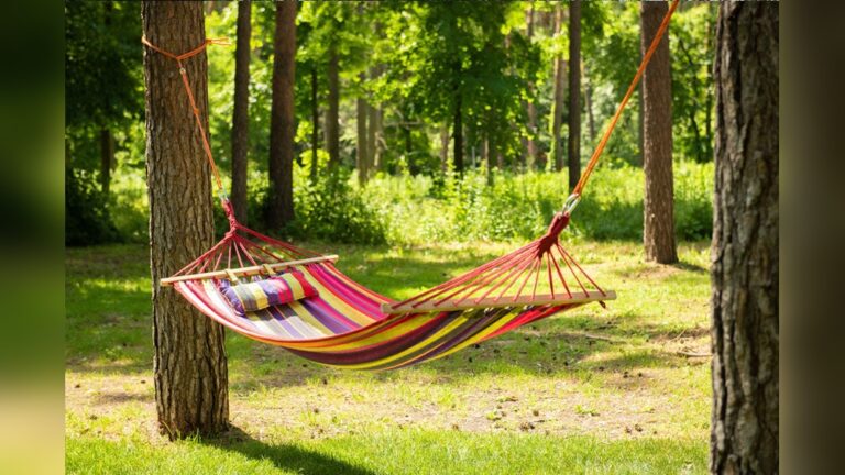 What is Best Distance Between Trees for Hammock Setup?