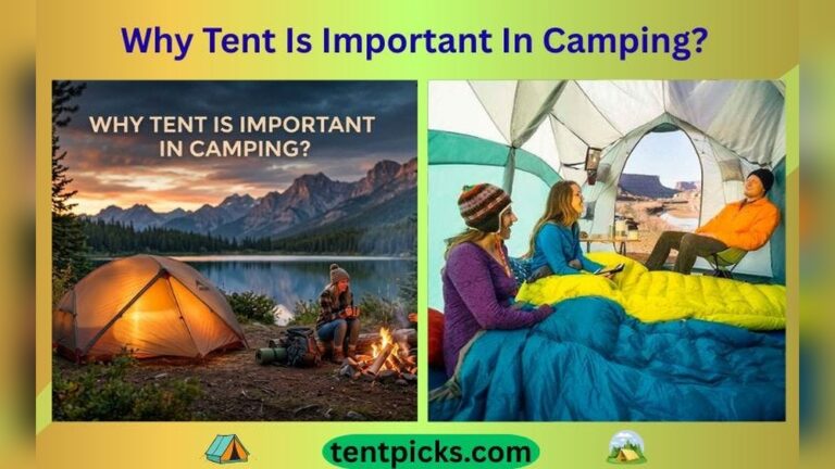 Why Tent is Important in Camping: Essential Benefits Explained